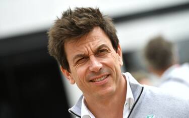 wolff