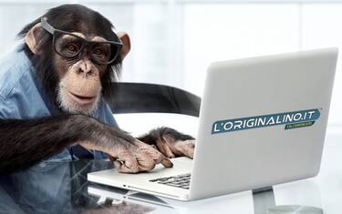 L'Originalino di mercoledì 24 gennaio