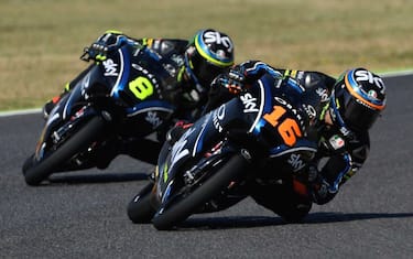 migno_bulega