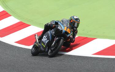 andrea_migno_qp_cat