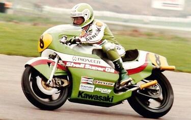 ballington_colori