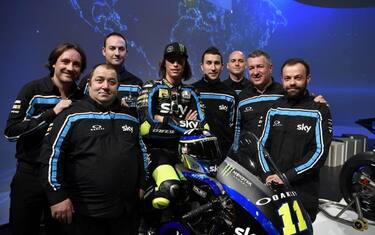 bulega
