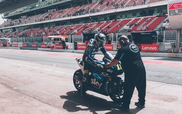 Bulega
