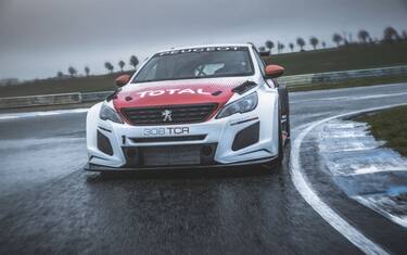 Peugeot 308TCR, arriva il leone pronto per il 2018
