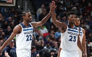 twolves