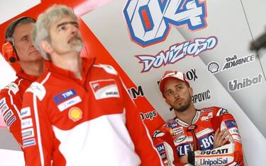 dovi3