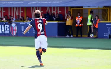 verdi