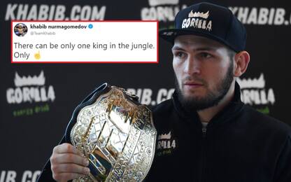 Khabib a McGregor: "C'è un solo re nella giungla"