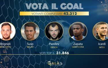 votailgol