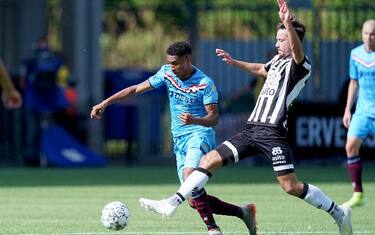 heraclesalmelo-willemii-1061342