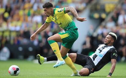 Norwich City-Newcastle 3-1