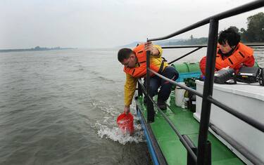 Vienna, sul Danubio avvistata striscia di petrolio lunga 30 chilometri