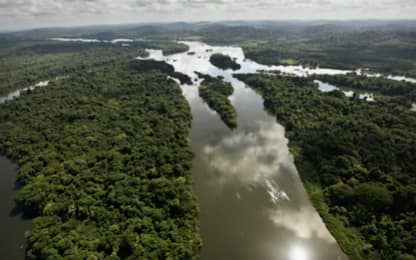Amazzonia, deforestazione record: persi quasi 8 mila km² in un anno