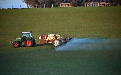 Pesticidi: secondo l'Onu uccidono 200mila persone all'anno