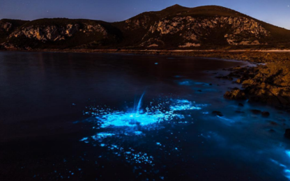 Le coste della Tasmania si illuminano di blu