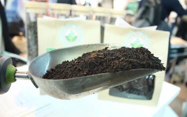 rapporto biowaste