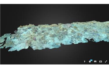 La Grande barriera corallina stampata in 3D