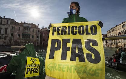 Greenpeace, 800mila Veneti potenzialmente esposti ad acque inquinate