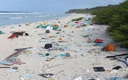 Henderson, altro che paradiso: l'isola con 18 tonnellate di plastica