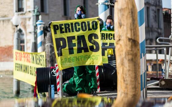 I Pfas Preoccupano Il Veneto: Cosa Sono E Quali Conseguenze Hanno Sull ...