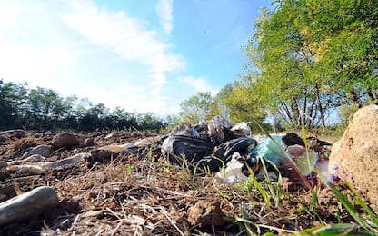 Dagli anni '50, 79% della plastica finito in discarica o nell'ambiente