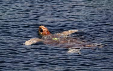 Lampedusa, soccorsa una tartaruga caretta caretta
