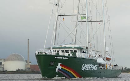 Greenpeace, da 46 anni in difesa dell'ambiente in Italia e nel Mondo