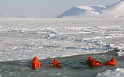 Rinvenuti pezzi di plastica su ghiacci non lontani dal Polo Nord
