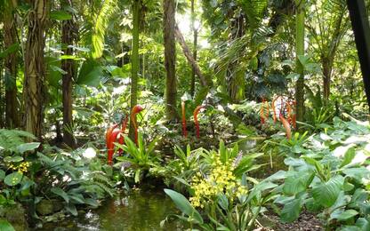 Giardini botanici scrigno biodiversità