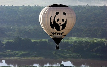 wwf_GettyImages-72661258