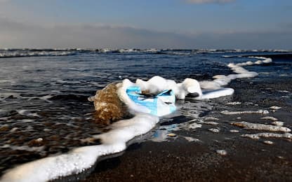 Fiumicino, pescatori al lavoro per ripulire il mare dalla plastica