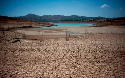 Giornata contro desertificazione, Onu: mondo verso siccità nel 2025
