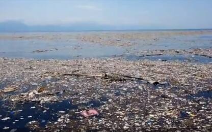 Un'isola di spazzatura e plastica nel mar dei Caraibi. VIDEO