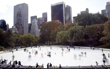 GettyImages-Alberi_New_York