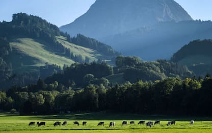 Sostenibilità ambientale: primato alla Svizzera, Italia sedicesima