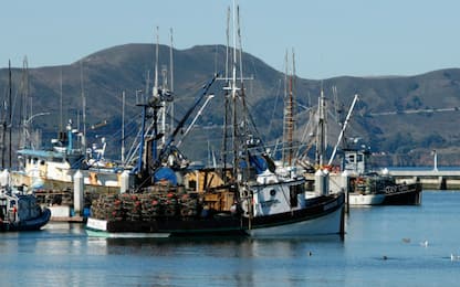 La pesca industriale copre oltre la metà degli Oceani