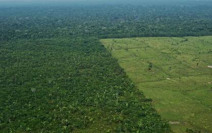 Brasile, approvata legge che riduce le tutele della foresta amazzonica