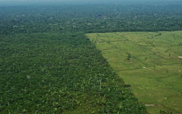 GettyImages-Amazzonia