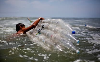 Il crostaceo mangia la plastica in mare, ma microrganismi a rischio