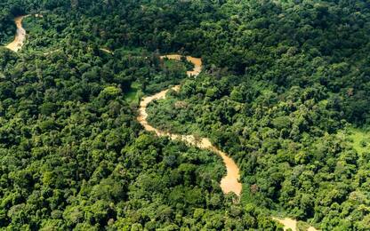 La siccità in Amazzonia mette a rischio l'ecosistema globale