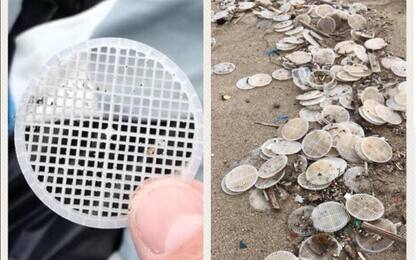 Dischetti di plastica su spiagge Tirreno: sono filtri di un depuratore