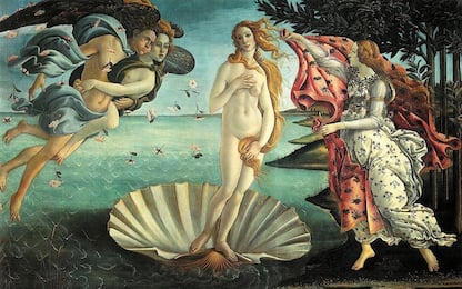 Venere di Botticelli, il segreto della vita nascosto nel mantello