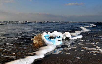 Plastica in mare, ogni anno oltre un milione di vittime animali