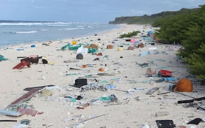 Vogliamo "il Mediterraneo plastic free", la petizione del Wwf