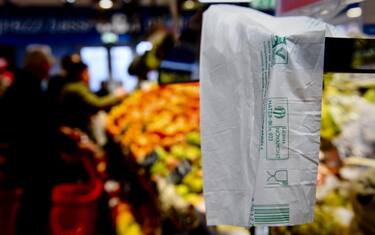 Il 72% dei sacchetti bio forniti nei banchi del mercato è irregolare