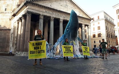 Attivisti Greenpeace in azione a Roma