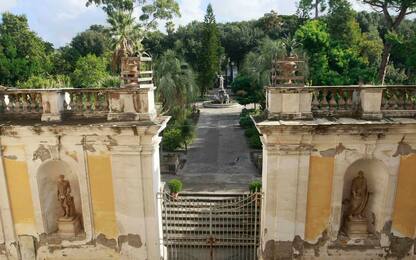 Piante rare e alberi secolari, 5 orti botanici da visitare in Italia