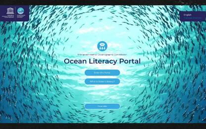 Ocean Literacy, il sito Unesco per la conoscenza degli oceani