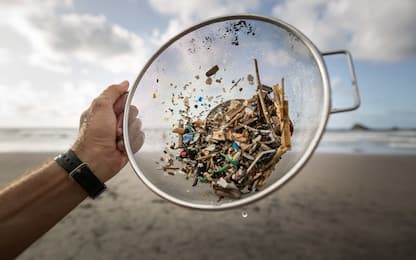 Microplastiche, aprire buste e bottiglie di plastica può generarle