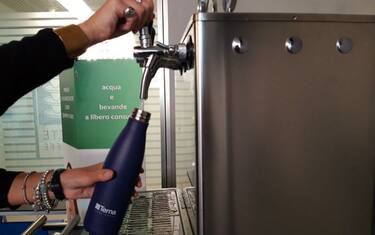 Terna_plastic_free